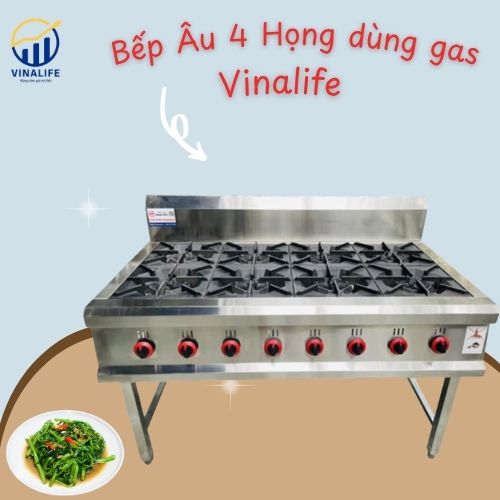 Bếp Âu 8 Họng Gas